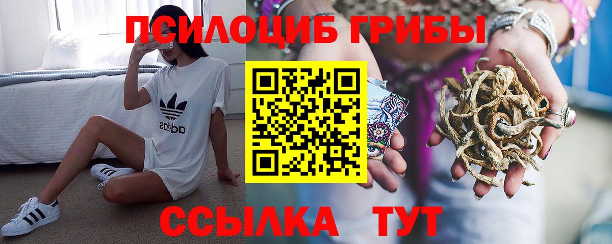 Галлюциногенные грибы мицелий  Вход с VPN  Сургут 